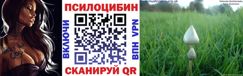 Галлюциногенные грибы Magic Shrooms  Саранск 